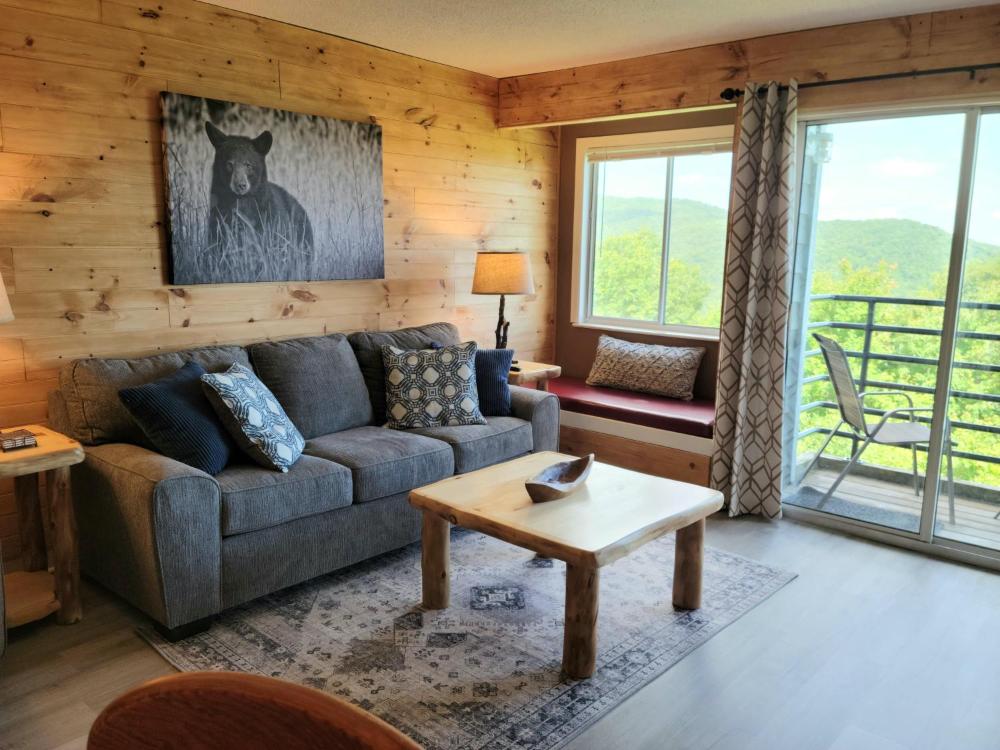 Apartment with Mountain View interior